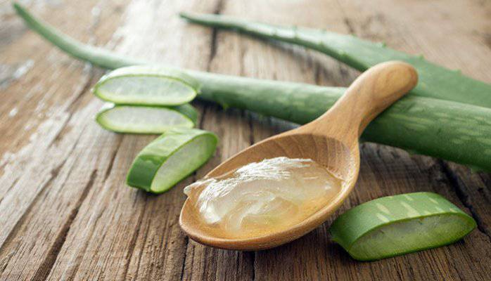 آلو ورا برای درمان آفتاب سوختگی | مجله سلامتی تک آشپز