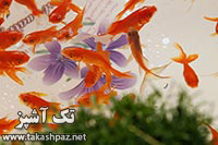 هفت سین نماد چیست | مجله تک آشپز