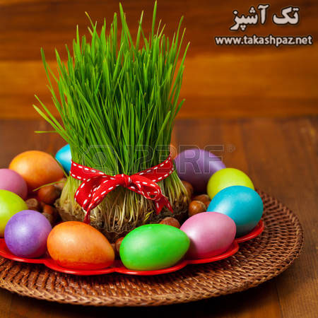 کاشت سبزه عید 8 زمان مناسب برای کاشت سبزه شنبلیله| مجله بانوان تک آشپز