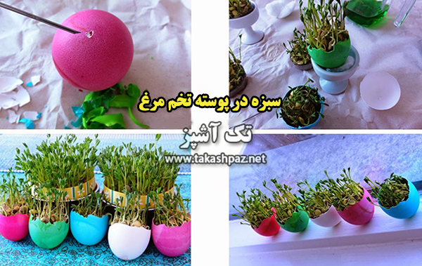 کاشت سبزه عید 10 درست کردن سبزه نوروز در پوسته تخم مرغ| مجله بانوان تک آشپز
