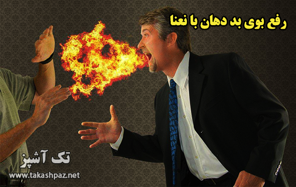 رفع بوی بد دهان با نعنا| مجله سلامتی تک آشپز
