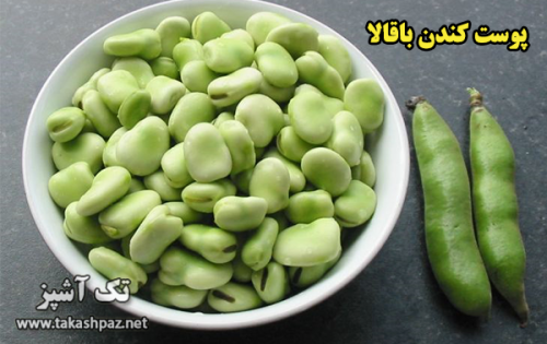 پوست كندن باقالا | مجله بانوان تک آشپز