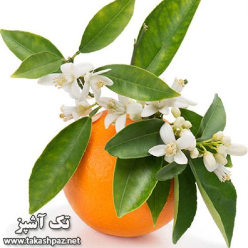 دمنوش بهارنارنج | مجله انواع دمنوش تک آشپز