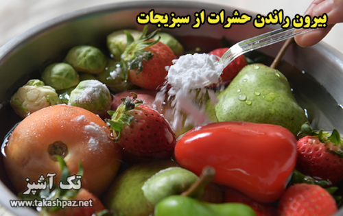 بیرون راندن حشرات از سبزیجات | مجله بانوان تک آشپز