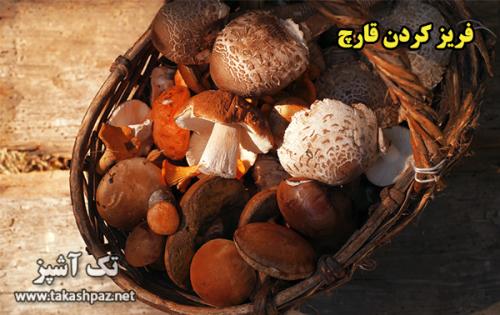 فریز کردن قارچ | مجله بانوان تک آشپز