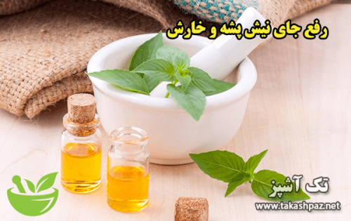 رفع جای نیش پشه و خارش | مجله سلامتی تک آشپز